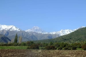 Santiago: Inca Lagoon and Vineyard Visit with Wine Tasting