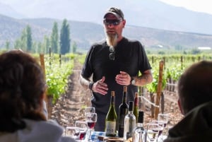 Santiago: Inca Lagoon Tour with Local Vineyard and Tasting