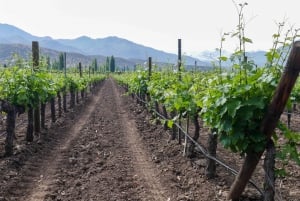 Santiago: Inca Lagoon Tour with Local Vineyard and Tasting