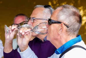 Santiago: Tur i Inkalagunen med lokal vingård og smaksprøver