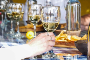 Santiago: Tur i Inkalagunen med lokal vingård og smaksprøver