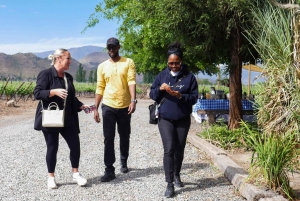 Santiago: Tur i Inkalagunen med lokal vingård og smaksprøver