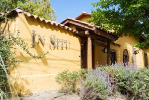 Santiago: Tur i Inkalagunen med lokal vingård og smaksprøver