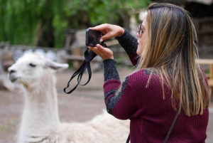 Santiago: Tur i Inkalagunen med lokal vingård og smaksprøver