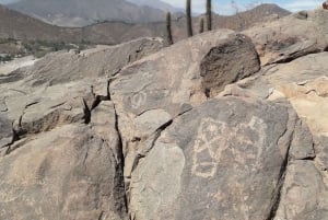 Santiago: Incan Petroglyphs, Alpacas, and Wine Experience