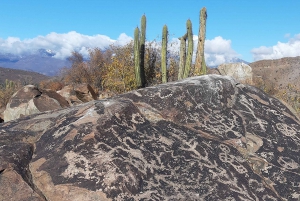 Santiago: Incan Petroglyphs, Alpacas, and Wine Experience
