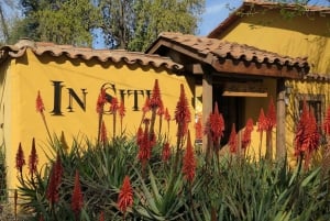 Santiago: Incan Petroglyphs, Alpacas, and Wine Experience