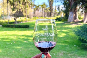 Santiago: Isla Negra, Algarrobo & Undurraga Wijnroute