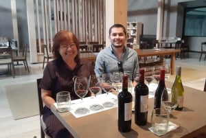 Santiago: De vigtigste chilenske vingårde: Private halvdagsture