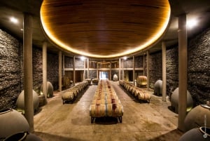 Santiago: Main Chilean Wineries Private Half-Day Tours
