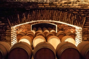 Santiago: Main Chilean Wineries Private Half-Day Tours
