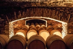 Santiago: Die wichtigsten chilenischen Weinkellereien Private Halbtagestouren