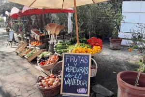 Santiago: Maipo Valley Full-Day Historic Wine Tour