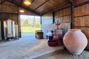 Santiago: Vinsmaking i Maipo-dalen med tre vingårder