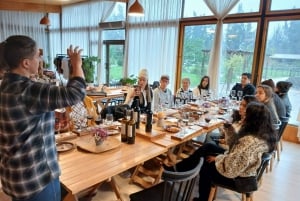 Santiago: Vinprovning i Maipodalen med 3 vingårdar