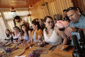 Santiago : Dégustation de vin dans la vallée de Maipo avec 3 vignobles