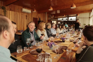 Santiago: Degustacja wina w dolinie Maipo z 3 winnicami