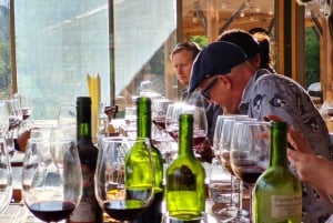 Santiago : Dégustation de vin dans la vallée de Maipo avec 3 vignobles