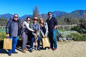 Santiago: Tour de degustação de vinhos do Vale do Maipo com 3 vinícolas