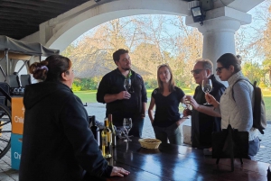 Santiago: Maipo Valley Wijnproeverij Tour met 3 Wijngaarden