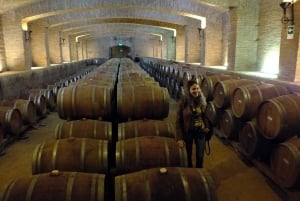 Santiago: Vinsmagning i Maipo-dalen med 3 vingårde