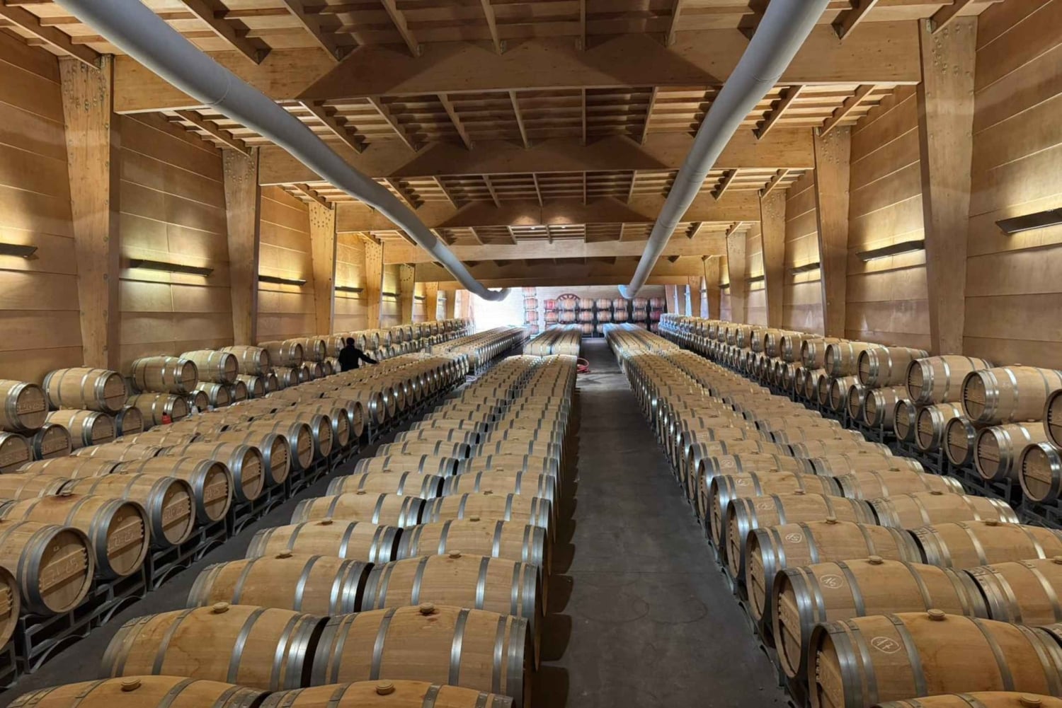 Santiago: Maipo Valleyn viinikierros ja maistiaiset