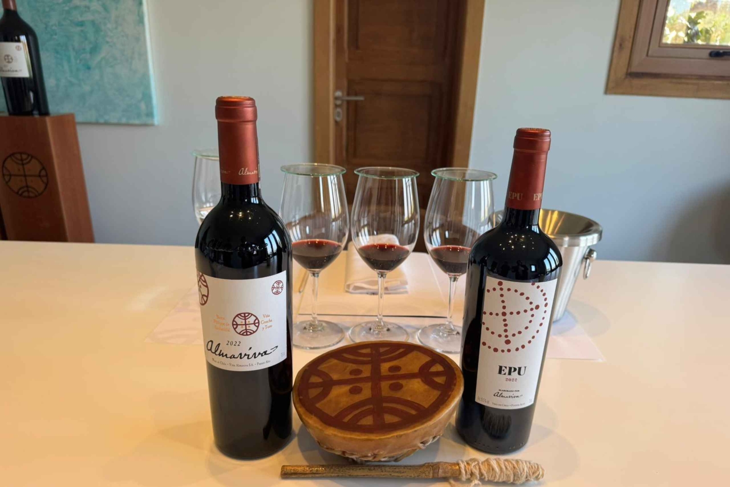 Santiago: Maipo Valleyn viinikierros ja maistiaiset