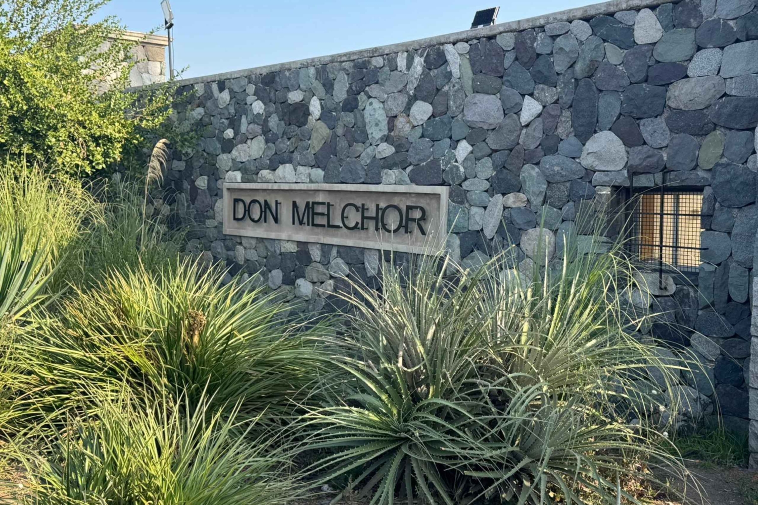 Santiago: Maipo Valleyn viinikierros ja maistiaiset