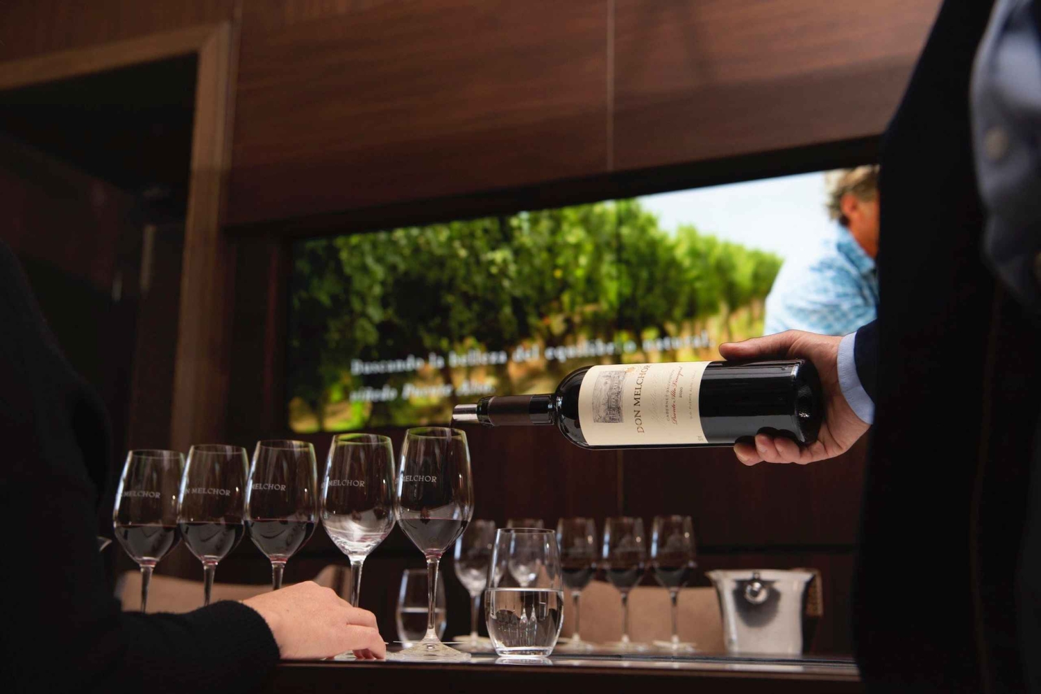 Santiago: Maipo Valleyn viinikierros ja maistiaiset