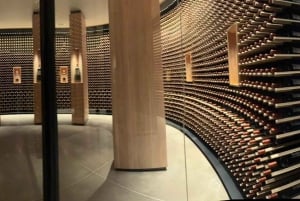 Santiago: Maipo Valleyn viinikierros ja maistiaiset