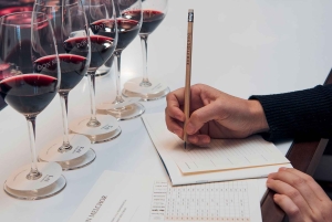 Santiago: Maipo Valleyn viinikierros ja maistiaiset