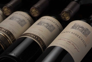 Santiago: Maipo Valleyn viinikierros ja maistiaiset