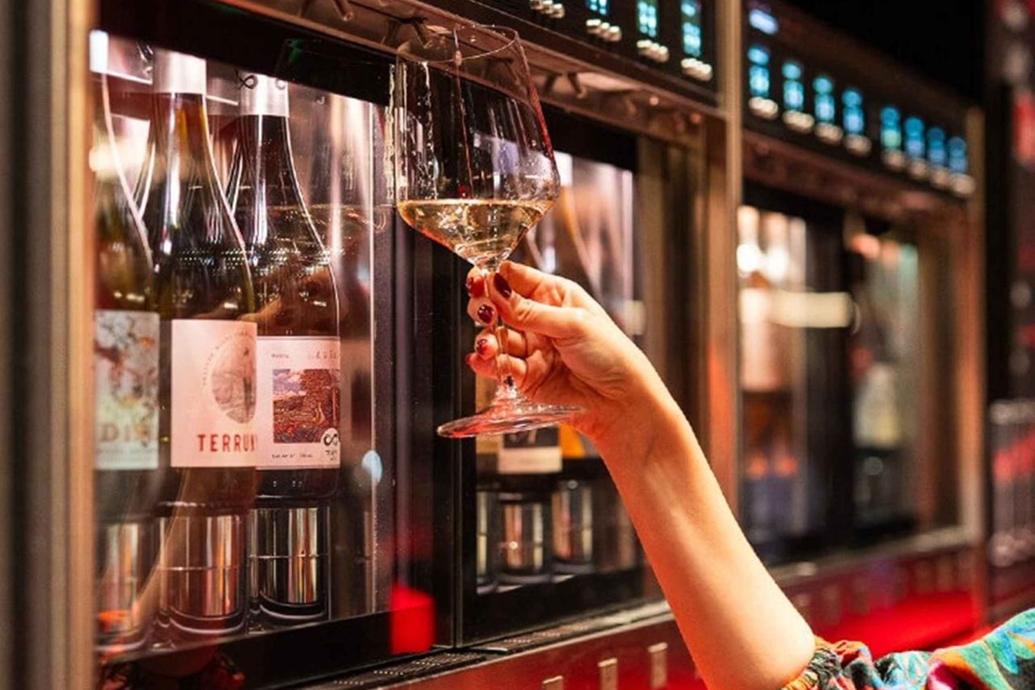 Santiago Night Private City Tour & Wine Tasting