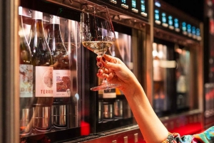 Santiago di notte: tour privato della città e degustazione di vini