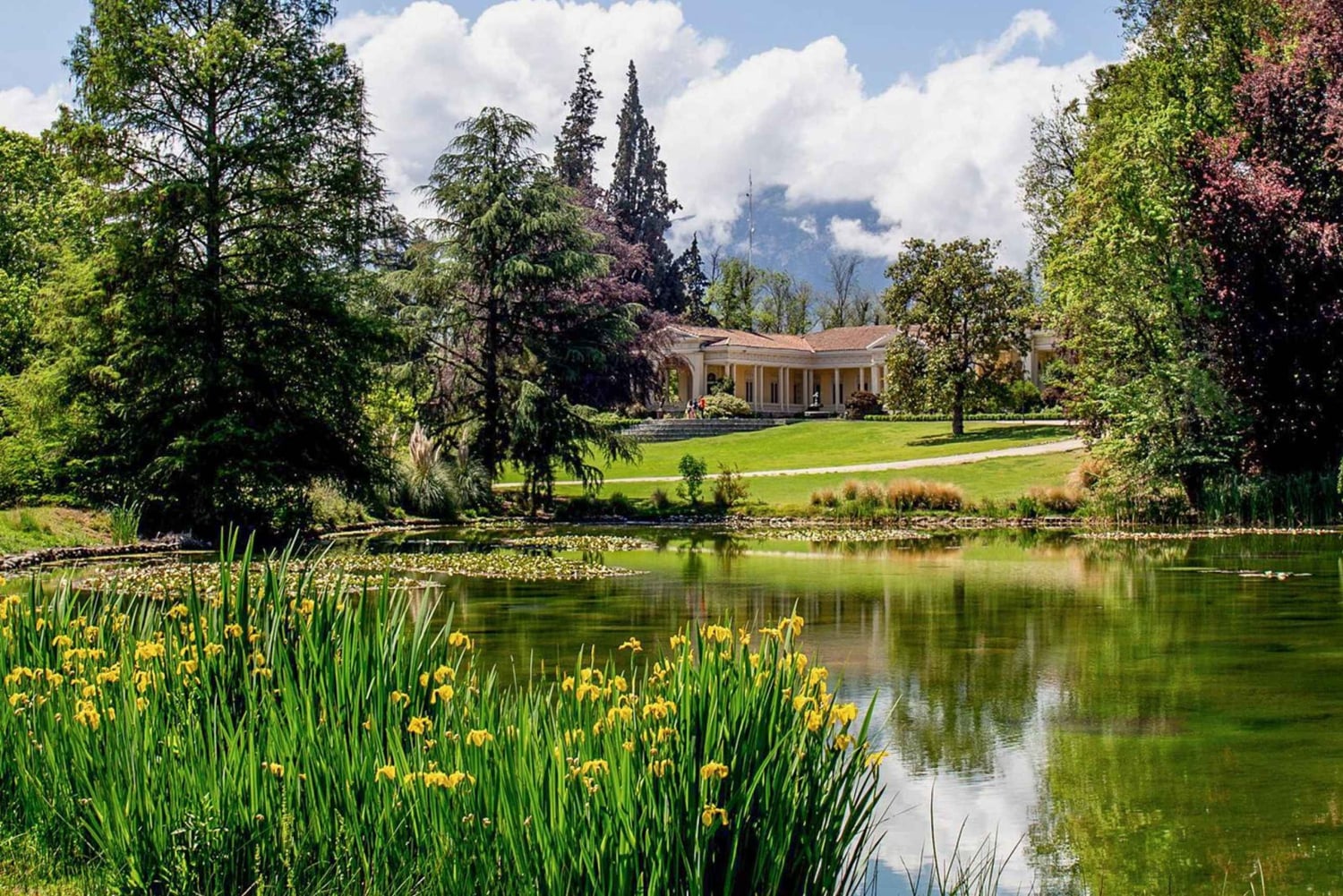 Сантьяго: официальный трансфер на винодельню Concha y Toro