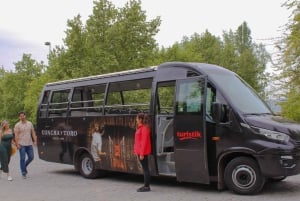 Santiago: Virallinen kuljetus Concha y Toro -viinitilalle