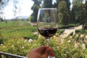 Santiago: Virallinen kuljetus Concha y Toro -viinitilalle