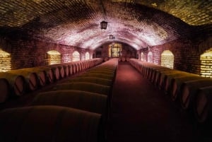 Santiago: Virallinen kuljetus Concha y Toro -viinitilalle