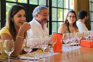 Santiago: Virallinen kuljetus Concha y Toro -viinitilalle