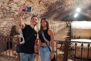 Сантьяго: официальный трансфер на винодельню Concha y Toro