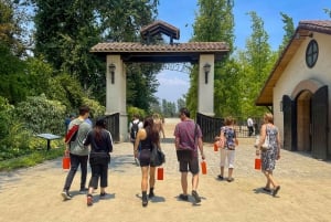 Сантьяго: официальный трансфер на винодельню Concha y Toro