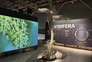 Сантьяго: официальный трансфер на винодельню Concha y Toro