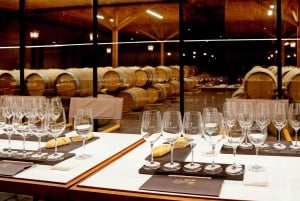 Сантьяго: официальный трансфер на винодельню Concha y Toro