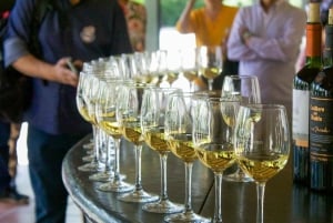 Сантьяго: официальный трансфер на винодельню Concha y Toro