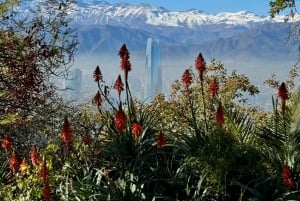 Santiago: Parque Metropolitano Guided Bike Tour