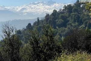 Santiago: Parque Metropolitano Guided Bike Tour