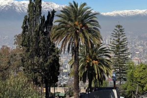 Santiago: Parque Metropolitano Guided Bike Tour