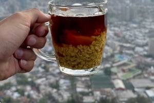 Santiago: Parque Metropolitano Guided Bike Tour