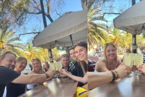 Santiago: Pisco Sour Tour