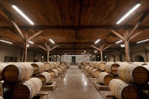 Сантьяго: тур Premium Cellar Collection для чувственного восприятия